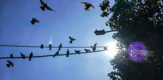 Ανεβαίνει και άλλο η θερμοκρασία σήμερα, Πέμπτη, καλός ο καιρός σε όλη τη χώρα