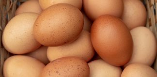 Λαθρεμπόριο αυγών: Κατασχέσεις ρεκόρ στα σύνορα των ΗΠΑ