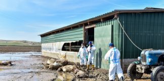 Έρευνα-κόλαφος για τις επιπτώσεις του «DANIEL» στη Θεσσαλία