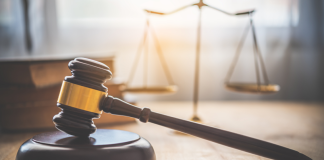 Γαλλία: Με πρόστιμο απειλείται εταιρεία κινηματογραφικών παραγωγών – Kατηγορείται ότι κατέστρεψε 520 αυγά φλαμίνγκο