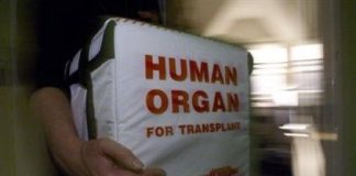 Φρίκη στην Πολωνία: Συνελήφθη Ουκρανή που είχε πουλήσει 56 ανθρώπινα νεφρά