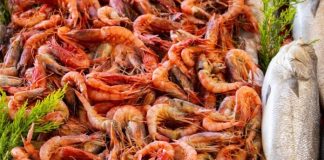 Τρίκαλα: Σαρακοστή στο… τσάμπα για τρεις Ρομά οι οποίοι «σήκωσαν» μεγάλες ποσότητες θαλασσινών