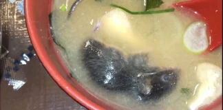 Ιαπωνία: Αλυσίδα φαστ φουντ κλείνει προσωρινά εκατοντάδες εστιατόρια καθώς βρέθηκαν αρουραίος και έντομο σε φαγητά της