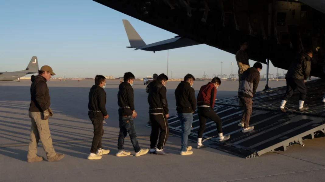 metanastes-ameriki-1