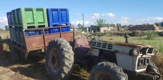 Το φιάσκο με τις συμφωνίες για αλλοδαπούς εργάτες στα ελληνικά χωράφια – Καταγγελία-βόμβα