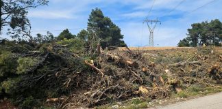 Ιδιοκτήτες δηλώνουν στην πλατφόρμα ψεύτικους καθαρισμούς οικοπέδων – Τι ανέφερε ο Γ.Κωνσταντέλλος
