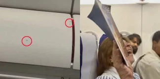 Χάος σε πτήση από το Λακνάου στο Δελχί από «επιδρομή»… κουνουπιών: Δείτε βίντεο
