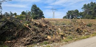 Ακαθάριστα οικόπεδα: Άνοιξε η πλατφόρμα – Τι περιλαμβάνει ο απαιτούμενος καθαρισμός