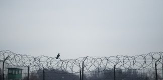 Μιμούνται τον Τραμπ – Ο Βορίδης αναγγέλλει απελάσεις μεταναστών