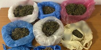 Πιερία: Συνελήφθη 41χρονος που είχε στην αποθήκη του συσκευασίες με αποξηραμένη κάνναβη