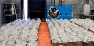 «Η αλβανική μαφία με καλούσε και μου έλεγε: “Θέλουμε να στείλουμε 500 κιλά ναρκωτικά”. Αν δεν δεχτείς, σε σκοτώνουν»