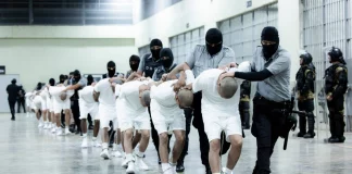 Οι γενοκτόνοι συνέταιροι του Ερντογάν «στάζουν μέλι» για την Κυβέρνηση Μητσοτάκη