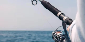 Κομοτηνή: Ανήλικοι έκλεβαν χρήματα και… καλάμια ψαρέματος από σταθμευμένα ΙΧ