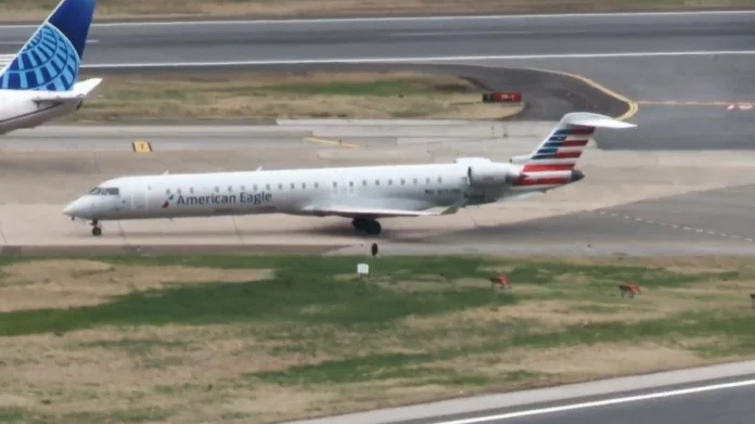 Σύγκρουση αεροσκαφών της American Airlines στην πίστα του αεροδρομίου Ρόναλντ Ρίγκαν – Eπέβαιναν αρκετά μέλη του Κογκρέσου