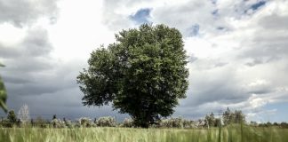 «Σκανδαλάρα» ΟΠΕΚΕΠΕ: Αγρότες της Κρήτης έπαιρναν 6,8 εκατ. ευρώ επιδοτήσεις το 2018, εκτινάχθηκαν σε 30,2 εκατ. ευρώ το 2019