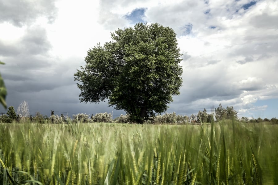 202ee7530a8dadb2c81d7ae16e080b9e_L