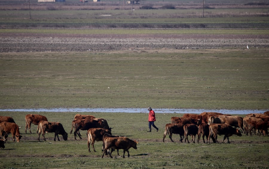 26303f2c421bd051363b5b4c552745ae_L