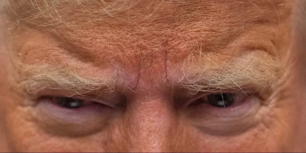 Screen-Shot-2024-11-07-at-01.57.31-e1730937607903