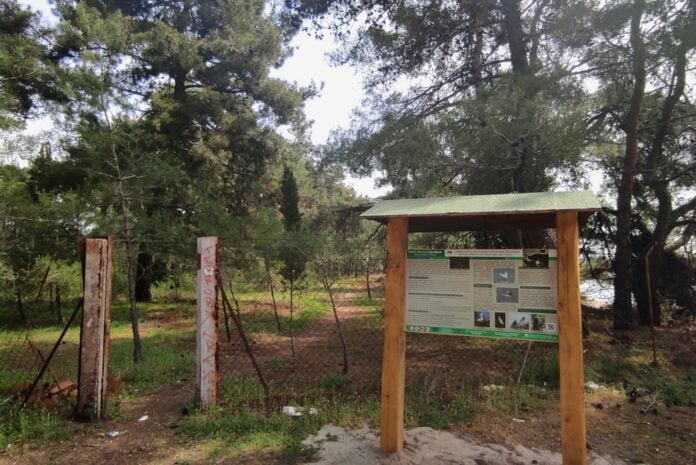 ethniko_parko_alexandroupolis-696x465