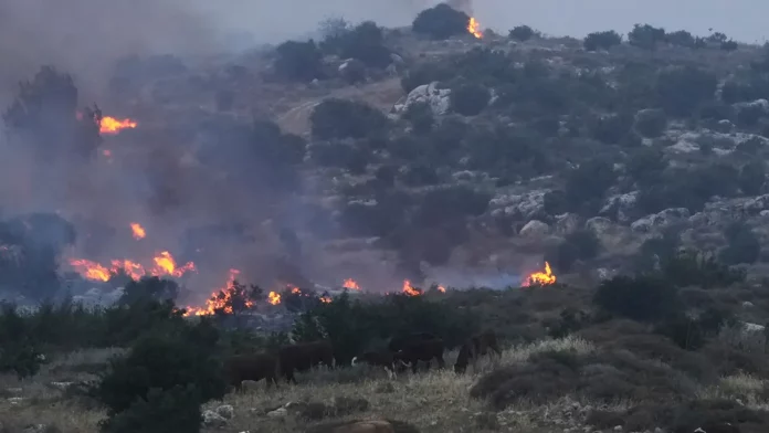 Ανεξέλεγκτη η κατάσταση στο Ισραήλ: Τουλάχιστον 11 πύρινα μέτωπα σε όλη τη χώρα (VIDEO)