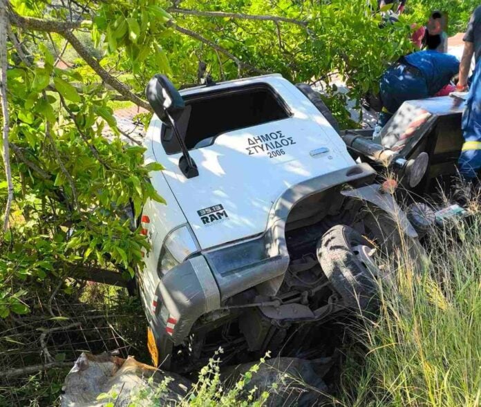 kalathophoro_stylida-696x589