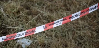 Θεσσαλονίκη: Εξιχνιάστηκε το μυστήριο με τα δύο πτώματα που είχαν βρεθεί σε δάσος της Ευκαρπίας