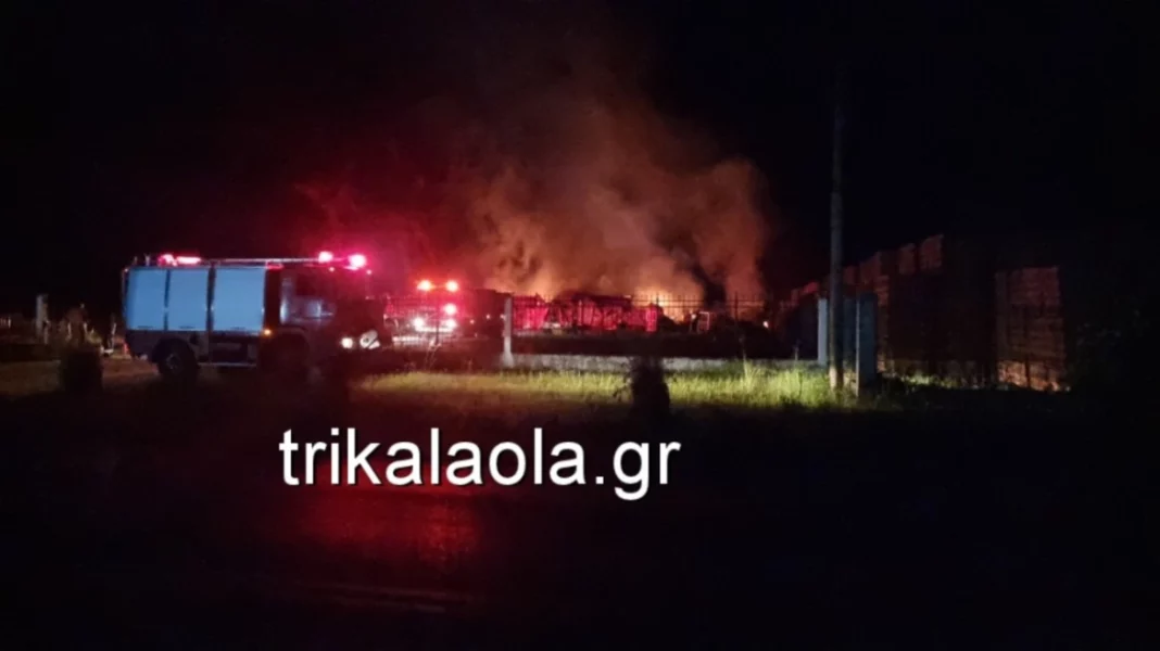 mixcollage-06-may-2025-05-26-am-8818