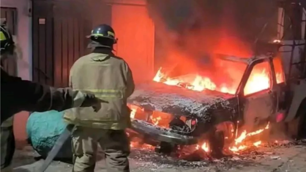 mixcollage-21-may-2025-04-20-am-2544