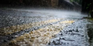 Δικαίωση ζητούν οι συγγενείς του 44χρονου που σκοτώθηκε στην Ξάνθη από Ρομά: «Το σύστημα αδρανεί εσκεμμένα ή αδιάφορα»