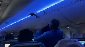 αρχείο λήψης (2)