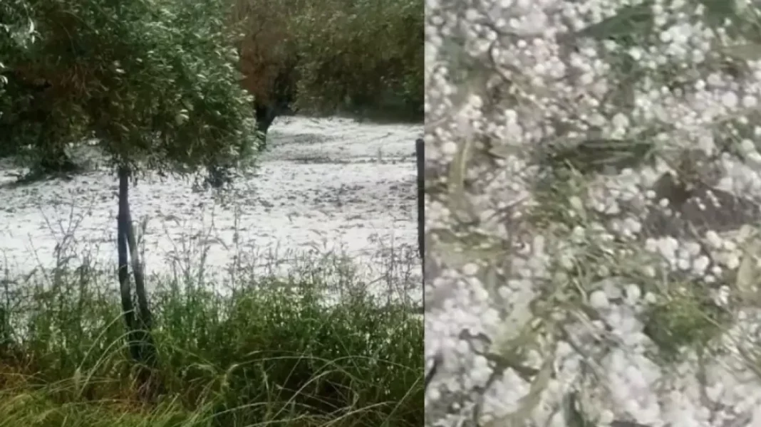 στιγμιοτυπο_οθονης_2025-05-14_100039