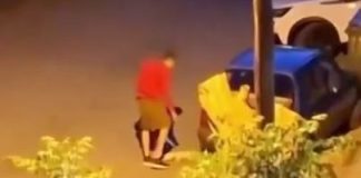 Θεσσαλονίκη: Βασάνισε και σκότωσε γατάκι, τον έπιασε κι η κάμερα, αλλά αφέθηκε ελεύθερος