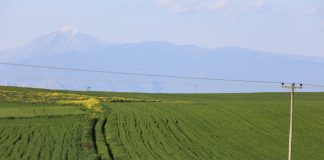 ΣΥΡΙΖΑ: «Γαλάζια βοσκοτόπια» του ΟΠΕΚΕΠΕ και στο αεροδρόμιο Αγρινίου με επιδοτήσεις άνω των 270.000 ευρώ