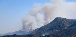 Στο έλεος της φωτιάς η Χίος – Στάχτη 62.000 στρέμματα δασικής και χορτολιβαδικής έκτασης