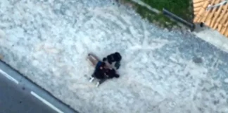 Βίντεο με τη σύλληψη διακινητή ναρκωτικών στη Νέα Μάκρη – Κατασχέθηκε κάνναβη και κοκαΐνη