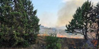 Λαμία: Νέα πυρκαγιά στην Καμηλόβρυση – Άμεση επέμβαση της πυροσβεστικής