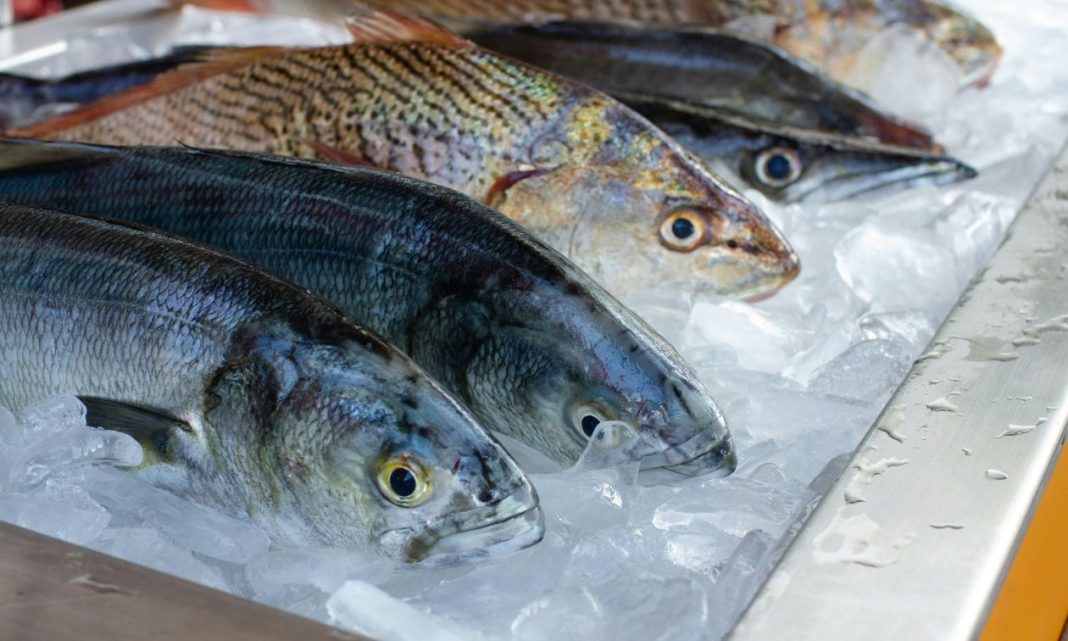 camila-igisk-yFU8qIDo9s4-unsplash