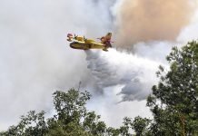Φωτιά στην Πρέβεζα – Επιχειρεί ισχυρή δύναμη της Πυροσβεστικής – Σηκώθηκαν δύο αεροσκάφη