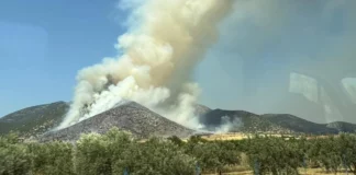 Μαίνεται η φωτιά στη Χωριστή Δράμας – Ενισχύθηκαν οι δυνάμεις, δείτε φωτογραφίες
