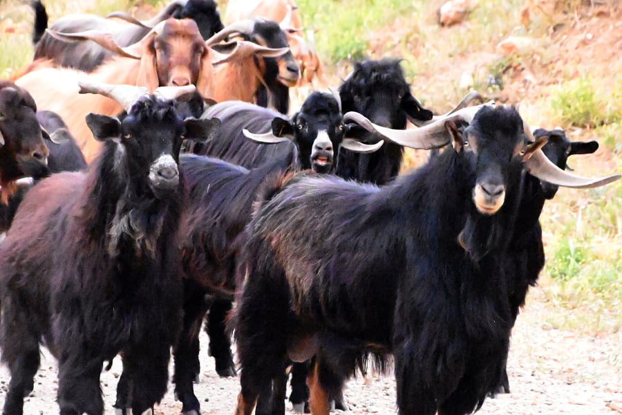 f3542653dbf9c53e702082391337abf1_L