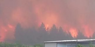 Πυρκαγιές στην Τουρκία: Πάνω από 50.000 άνθρωποι απομακρύνθηκαν από τις εστίες τους