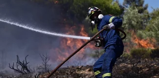Θεσσαλονίκη: Οριοθετήθηκε πυρκαγιά στην Άνω Περαία – Παραμένει στο σημείο η Πυροσβεστική