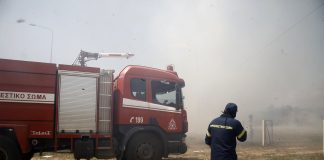 Φωτιά στην Κάρυστο Ευβοίας – Εστάλη μήνυμα από το 112