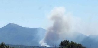 Αρκαδία: Φωτιά σε αγροτοδασική έκταση – Σηκώθηκαν έξι εναέρια μέσα