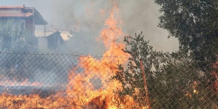 fotia_zeugolatio_roma_korinthias-696x348