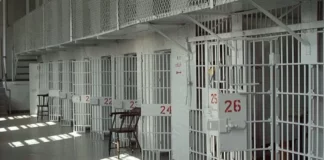 Στη φυλακή 31χρονος που τα έκανε «γης Μαδιάμ» σε σούπερ μάρκετ της Στυλίδας – Επιτέθηκε σε υπαλλήλους, έσπασε τζάμι