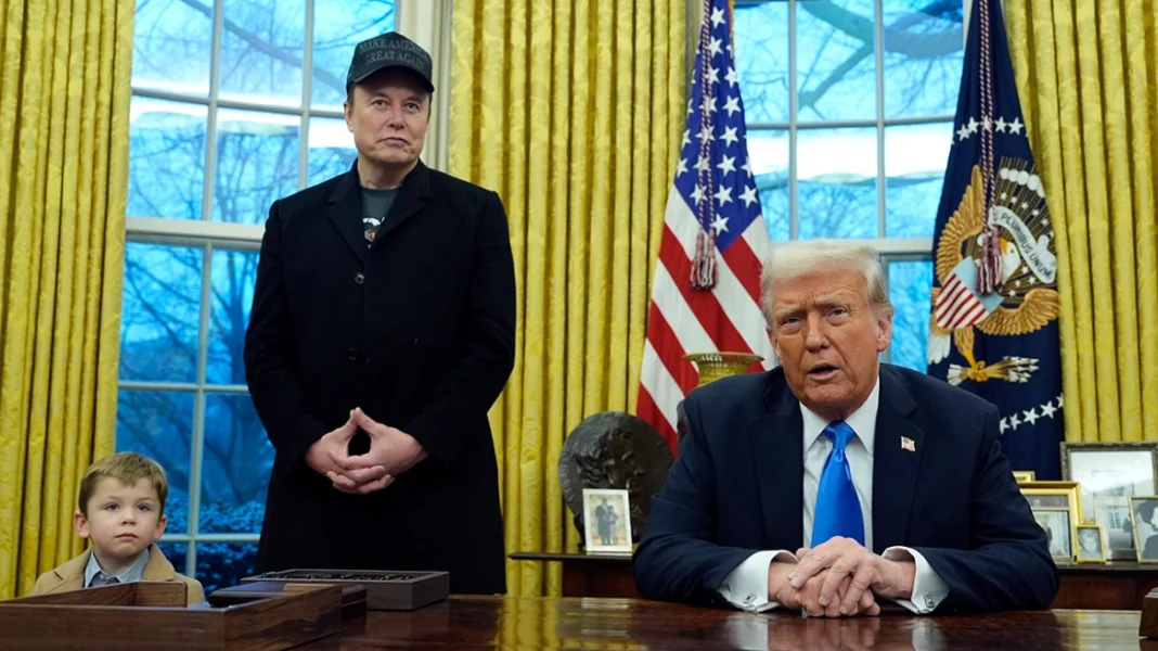 maketa-nea-trump-musk-junior