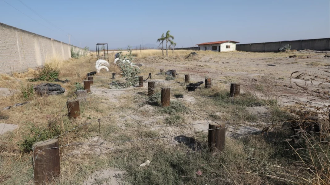mexico_mass_graves