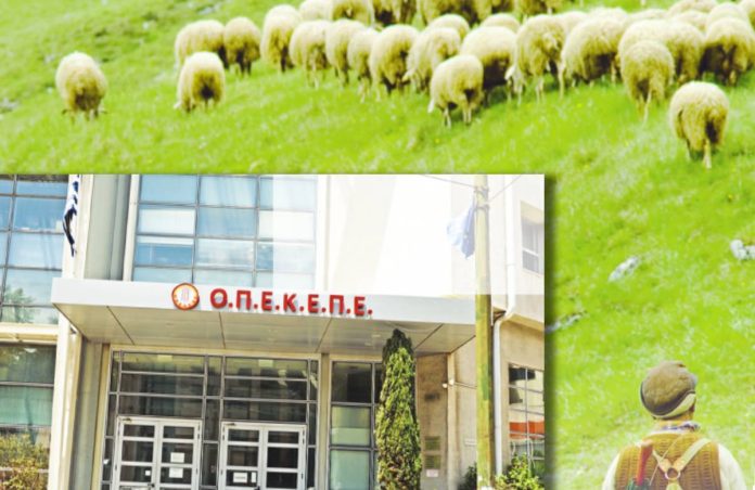 ΟΠΕΚΕΠΕ: Πώς παρεμπόδιζαν τις έρευνες της ΕΛ.ΑΣ.