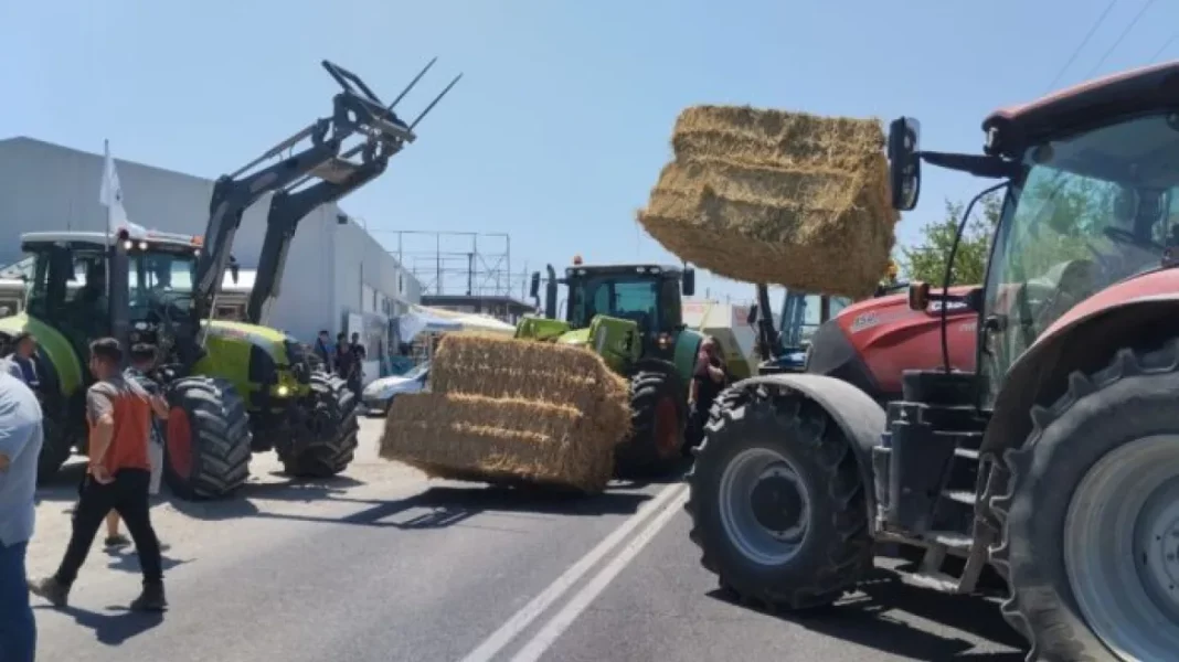 photo_2025-06-24_12-12-44-4-696x392